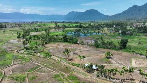 Agricultural Land Drones Stock Footage 334093234