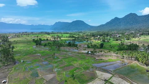 Agricultural Land Drones Stock Footage 334093237