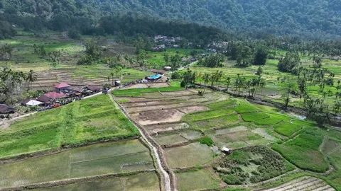 Agricultural Land Drones Stock Footage 334093238