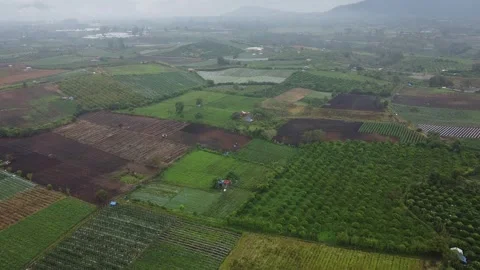 Agricultural land Stock Footage 242521215