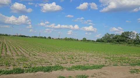 Agricultural land Stock Footage 310191287