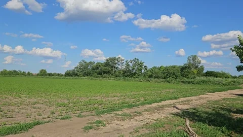 Agricultural land Stock Footage 310191306