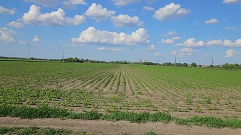 Agricultural land Stock Footage 310191664
