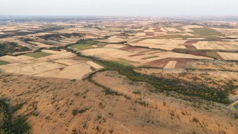 Agricultural Land Stock Footage 335263370