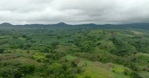 Agricultural land with paddy fields in the Philippines. Stock Footage 247397571