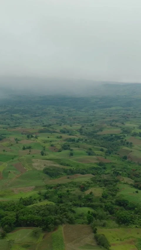 Agricultural land with paddy fields in the Philippines. Stock Footage 321392682