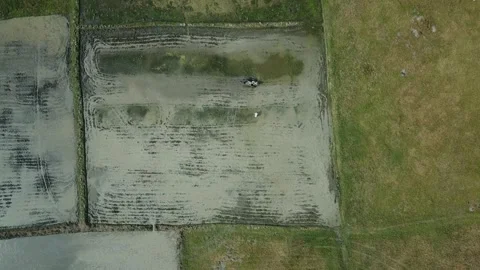 Agricultural land preparation using power tiller machine for crop cultivation Stock Footage 327571930