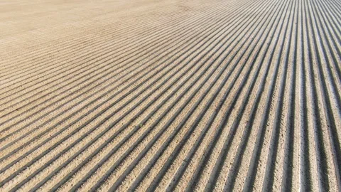Agricultural Land Prepared with Smooth Parallel Lines (Aerial View) Stock Footage 294615508