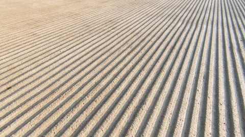 Agricultural Land Prepared with Smooth Parallel Lines (Aerial View) Stock Footage 294615757
