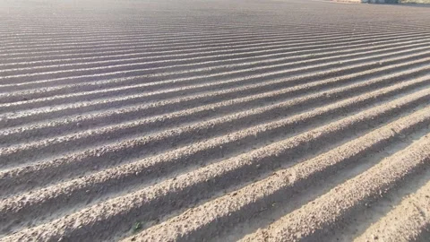 Agricultural Land Prepared with Smooth Parallel Lines (Aerial View) Stock Footage 294615857
