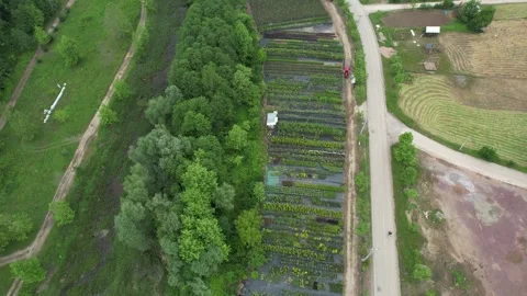 Agricultural land by stream Stock Footage 249209972