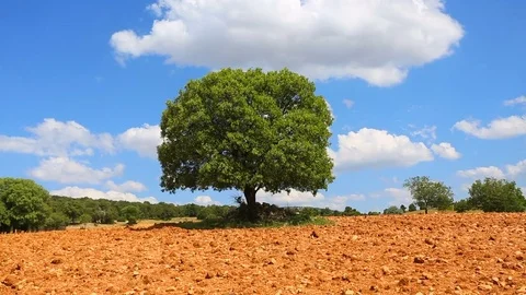 Agricultural land timelapse 库存影片 80378432