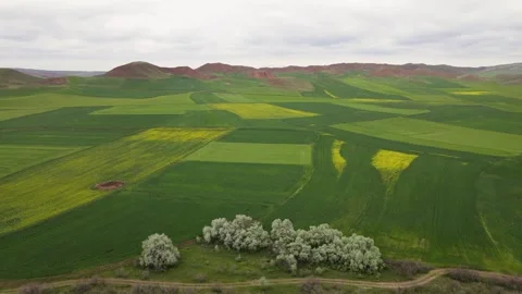 Agricultural Lands Stock Footage 331660620