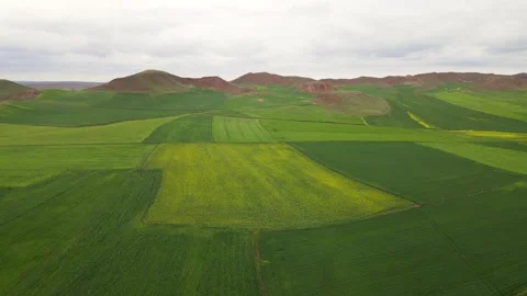 Agricultural Lands Stock-Footage 332658696