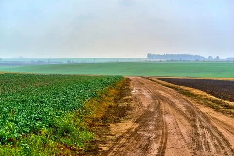 Agricultural landscape of fields Stock Photos