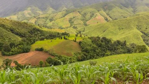 Agricultural landscape with green fields on hills at Pua district, Stock Photos