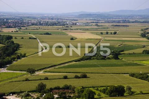 Agricultural landscape Stock Photos