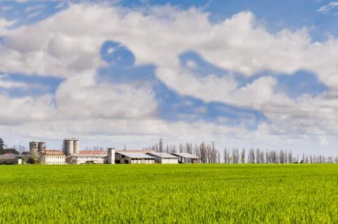 Agricultural landscape Stock Photos