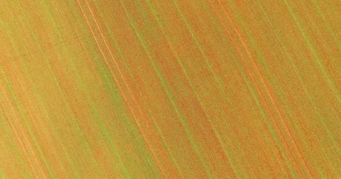 Agricultural landscape with wheat fields. Stock Footage 71763503