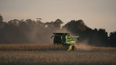 Agricultural machine harvesting the cornfield 3 Stock Footage