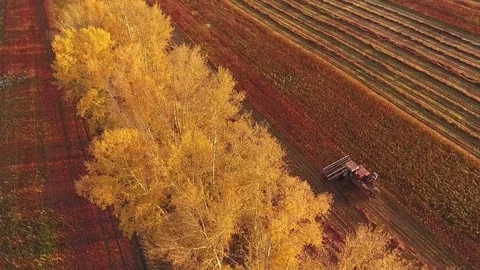 Agricultural machine plows the field, leaving furrows. Harvesting Stock-Footage 80901600