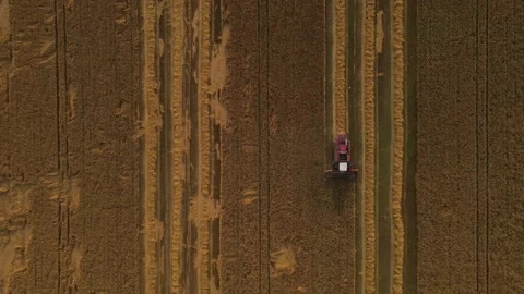 Agricultural Machinery Stock Footage 157762072