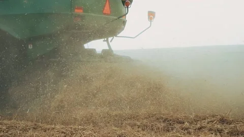 Agricultural machinery theme. Back part of harvester combine working on wheat Stock Footage 209281140