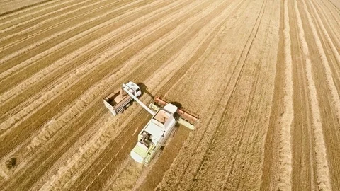 Agricultural machines in the fields. The work of technology in the fields Stock Footage 80353403
