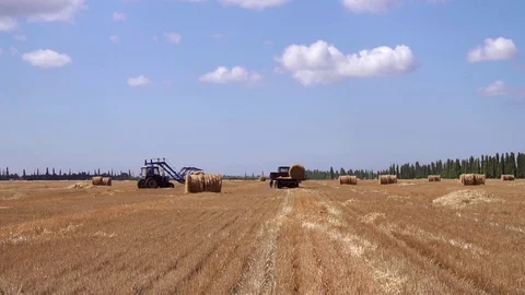 Agricultural modern tractor loading bale of hay on truck vehicle in incredible Stock Footage 94882719