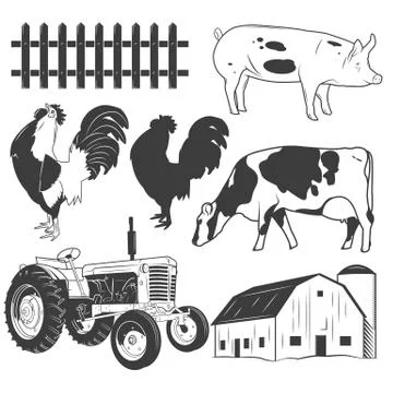 Agricultural objects vector set isolated on white background. Farming labels Stock Illustration