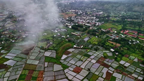 Agricultural patchwork fields at Bukit Selong with mountain village in morning Stock Footage 313572853
