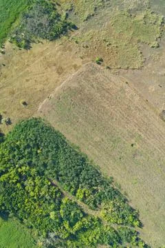 Agricultural patchwork landscape with green forest and harvested dry fields 스톡 사진
