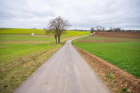 Agricultural path between multiple agricultural fields landscape during clo.. Stock Photos