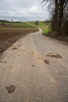 Agricultural path with dirt on it, tree next to it and multiple agricultura.. Stock Photos