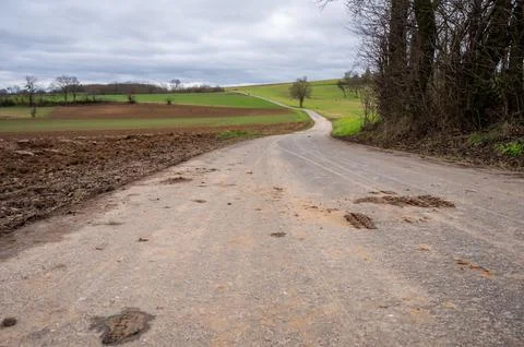 Agricultural path with dirt on it, tree next to it and multiple agricultura.. Stock Photos