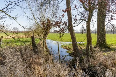 Agricultural plot with partially flooded green pastureland 写真素材