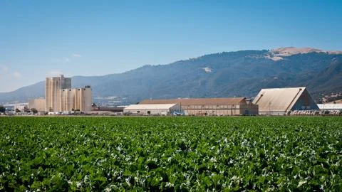 Agricultural Processing Facility 库存照片