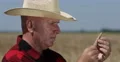 Agricultural Producer Closeup Analyze Wheat Grains Agronomist Studying Fertility 4k or 4k+ Resolution