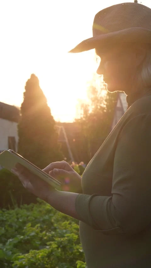 Agricultural professional using digital tablet in golden sunset shines Stock-Footage 314012278