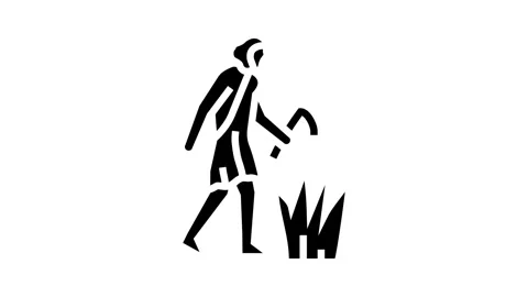 Agricultural revolution human evolution glyph icon animation Stock Footage 326155549
