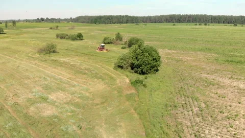 Agricultural self-propelled mower cuts grass for hay in a meadow among bushes in 動画素材 136724776