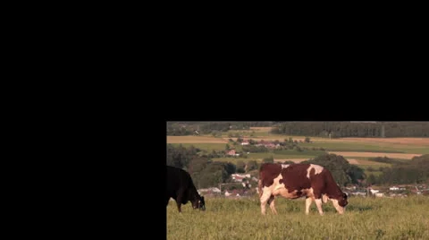 Agricultural sequences Video stock 23604243