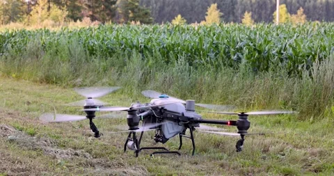 Agricultural spray drone take off over crop field for precision farming Stock Footage 339654038