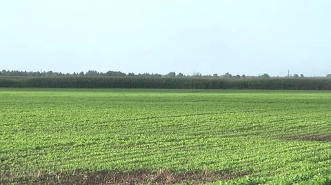 Agricultural Sprayer Stock Footage 52528251