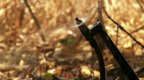 Agricultural Sprinkler Stock Footage 20512166