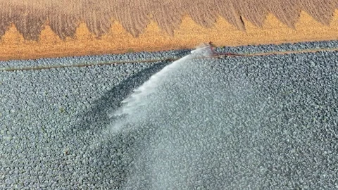 Agricultural sprinkler irrigating red cabbage field creating rainbow Stock Footage 341875370