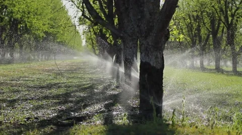 Agricultural Sprinkler System Stock Footage 48948346