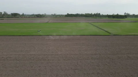 Agricultural technology drones.Drone spraying over fields. Stock Footage 157079289