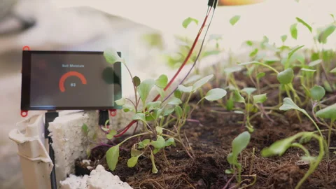 Agricultural technology. Stock Footage 157748078