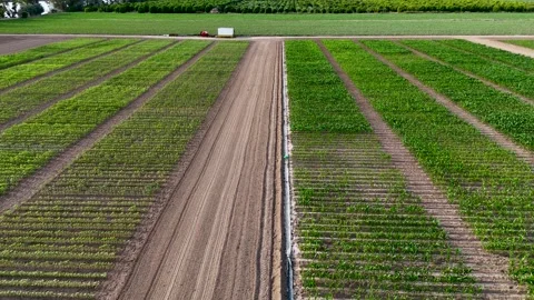 Agricultural test fields with different crops aerial view Stock Footage 336007233